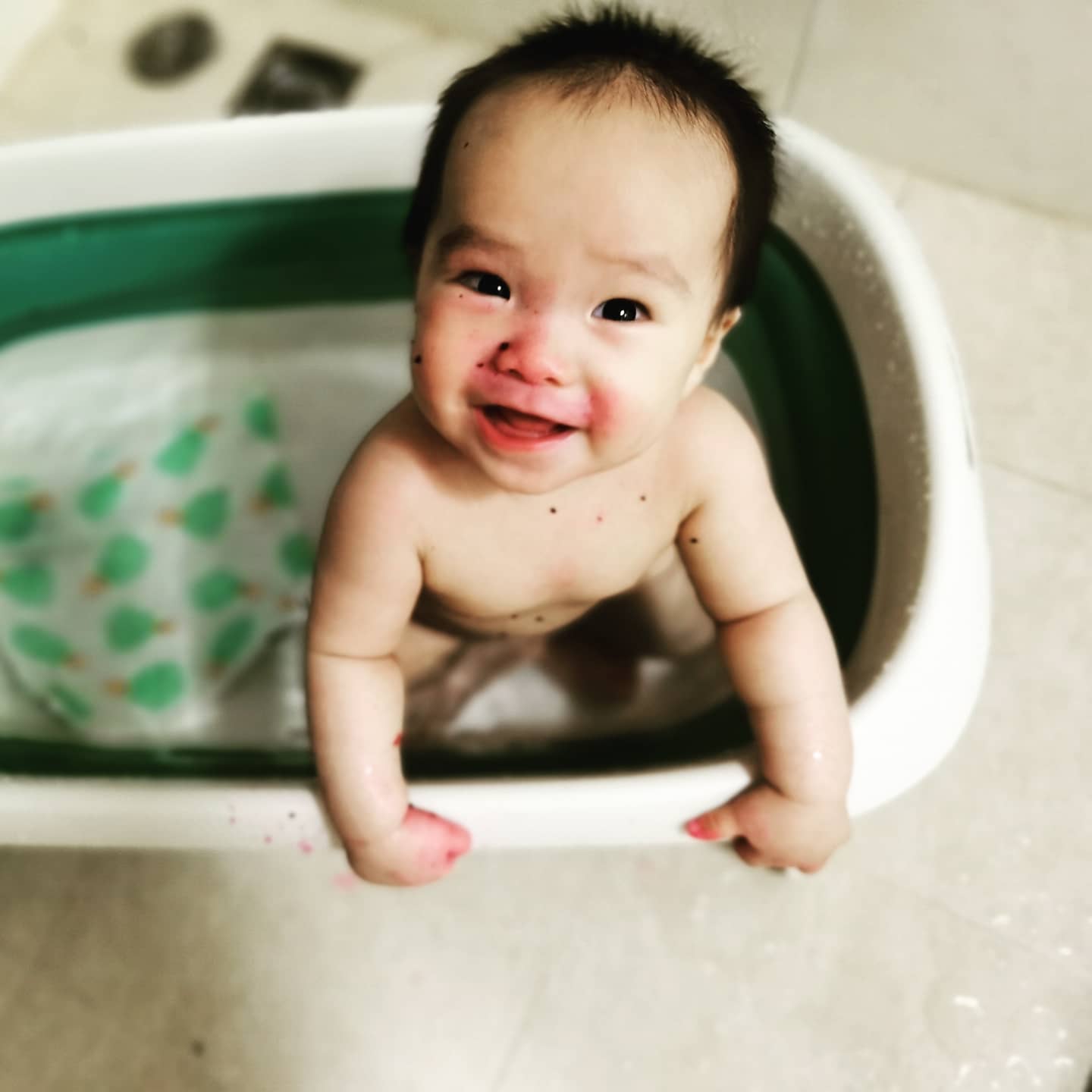 A photo of Coaca Bean having a bath.