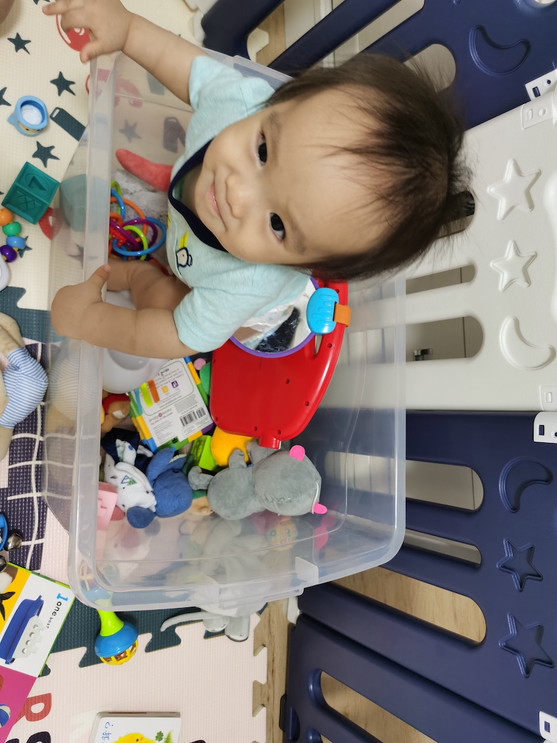Cocoa Bean is sitting in his toy box.