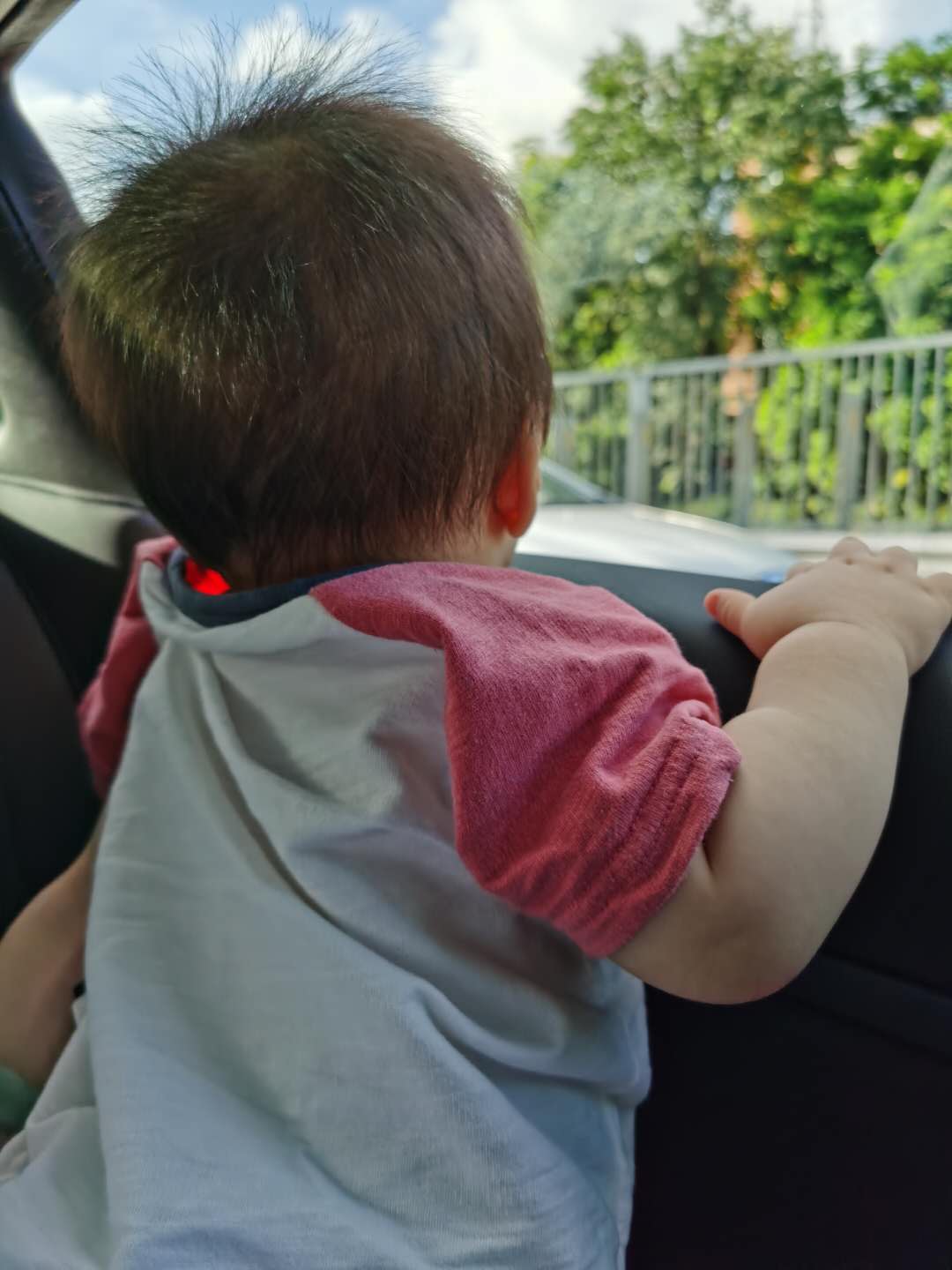 Cocoa Bean looked outside the car window.