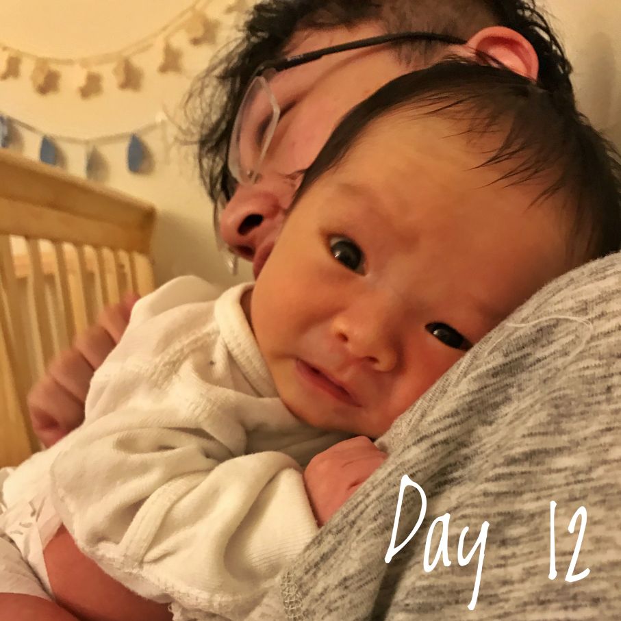 Coaca Bean on Day 12.