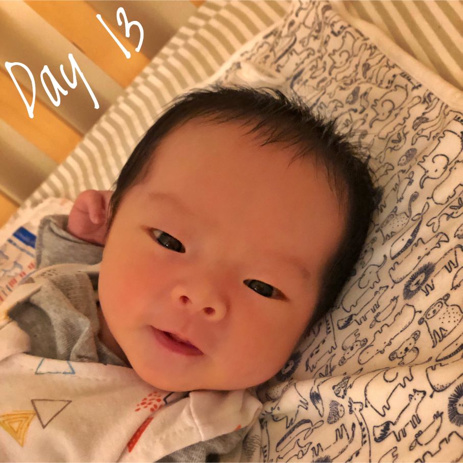 Cocoa Bean on Day 13.