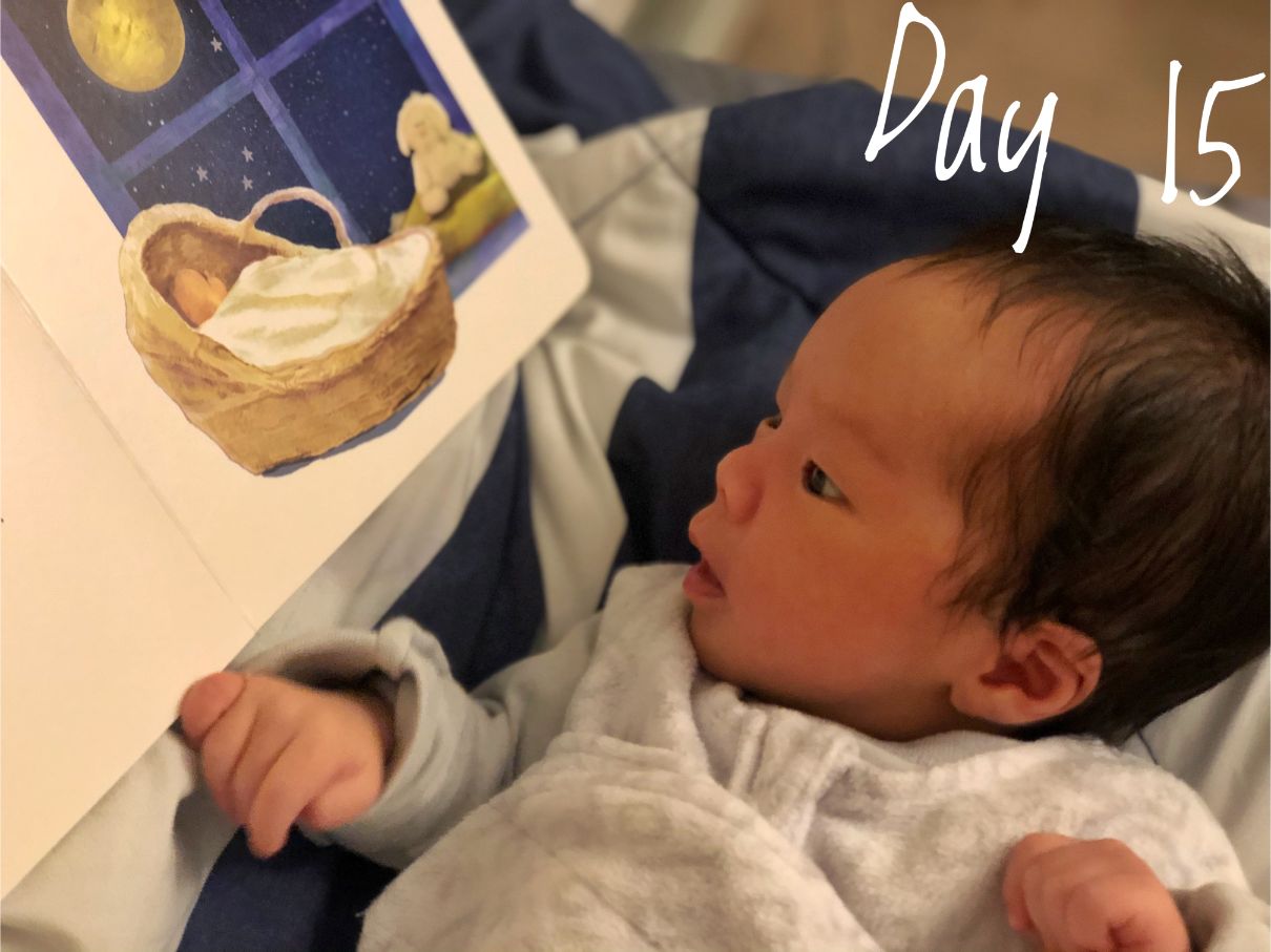 Cocoa Bean on Day 15.