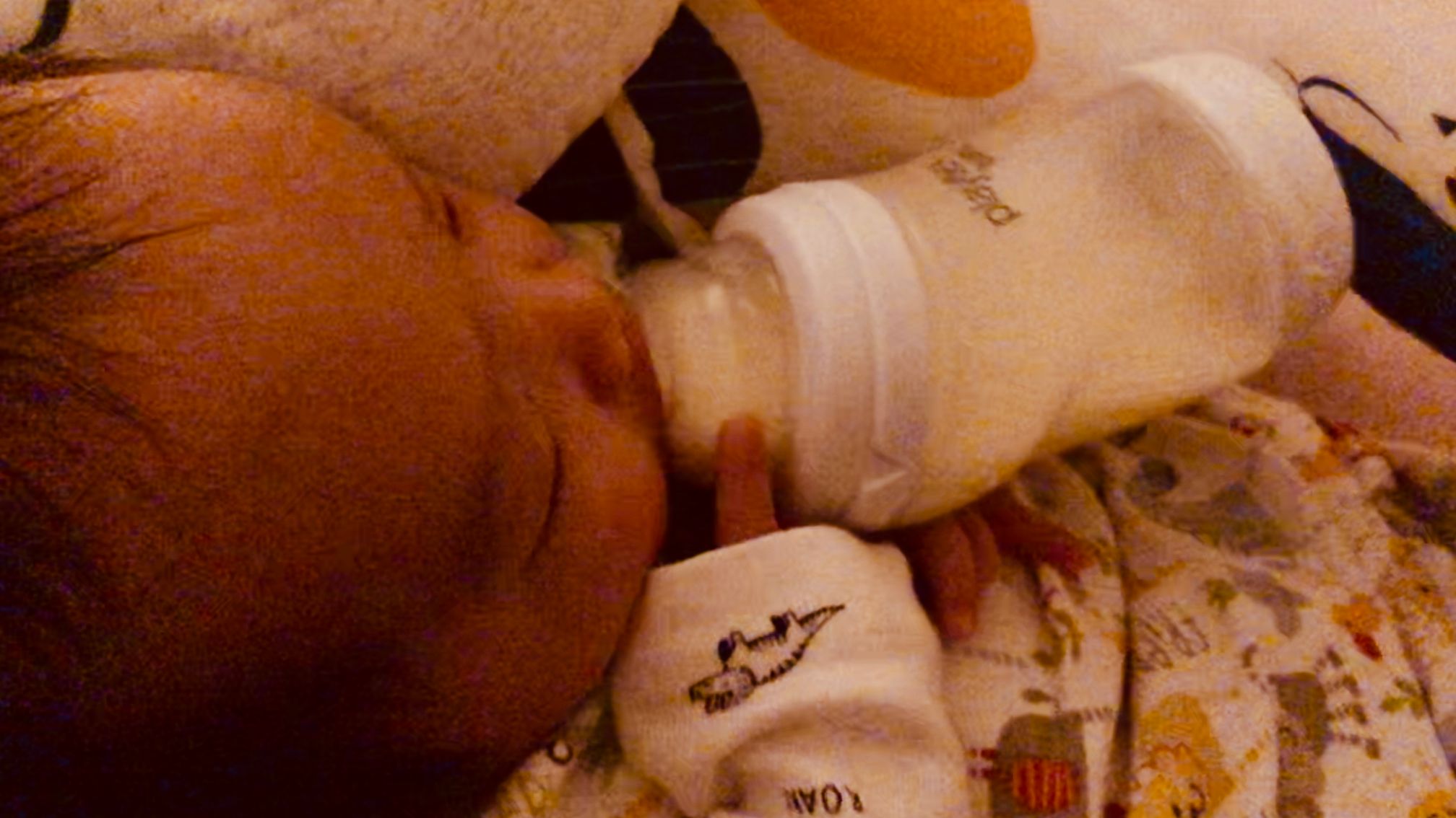 A photo of Cocoa Bean drinking milk on his own.