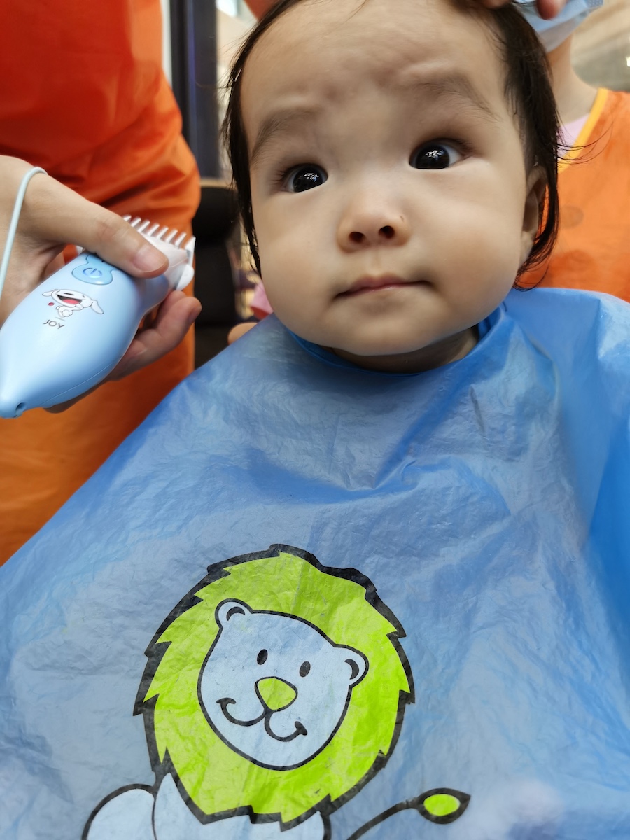 A photo of Coaca Bean having a haircut.