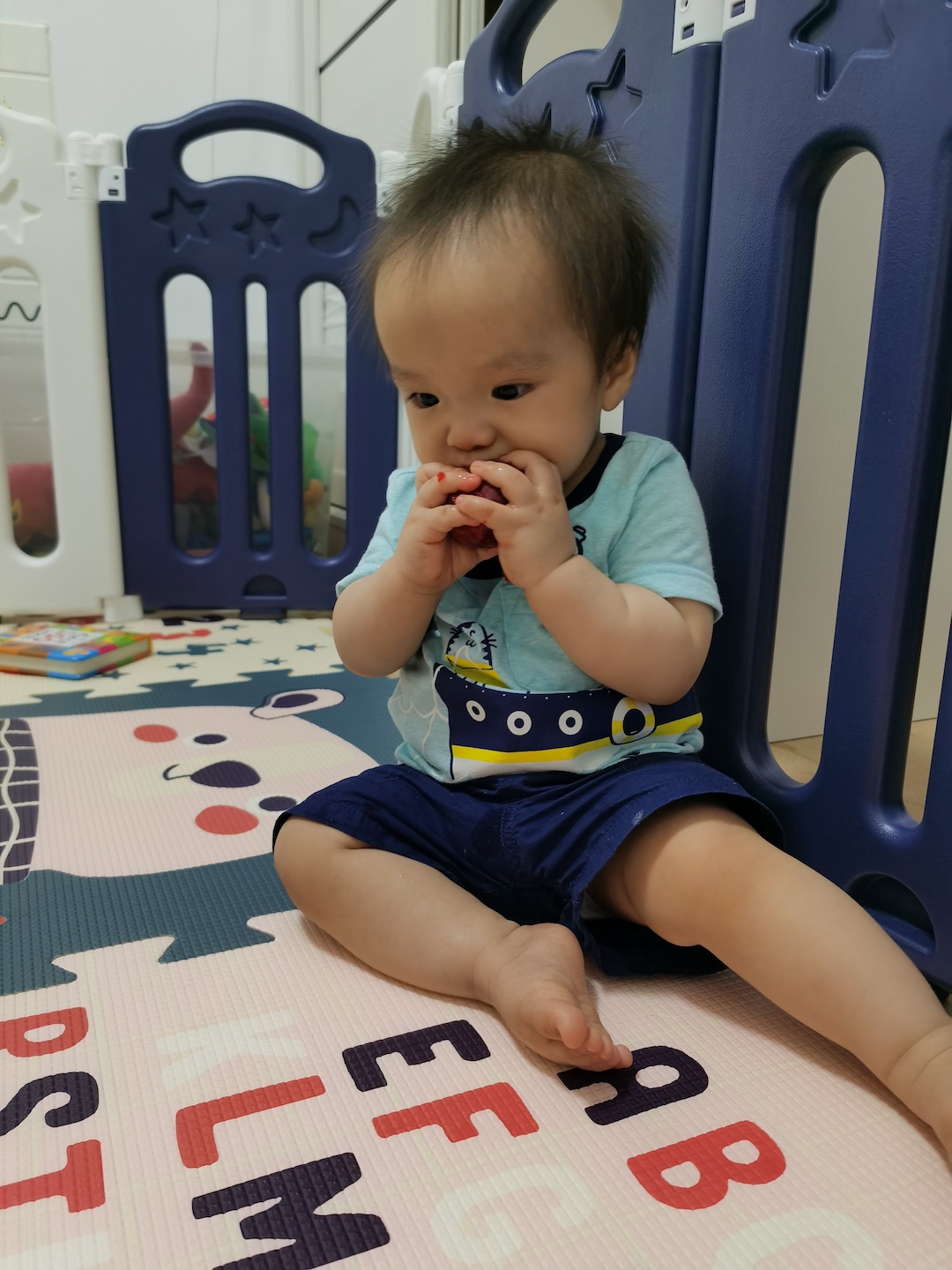 Cocoa Bean is nibbling a plum.