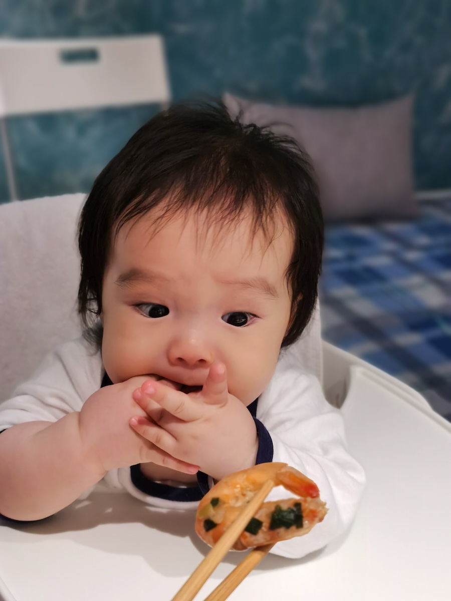 A photo of Coaca Bean yearning for a shrimp.