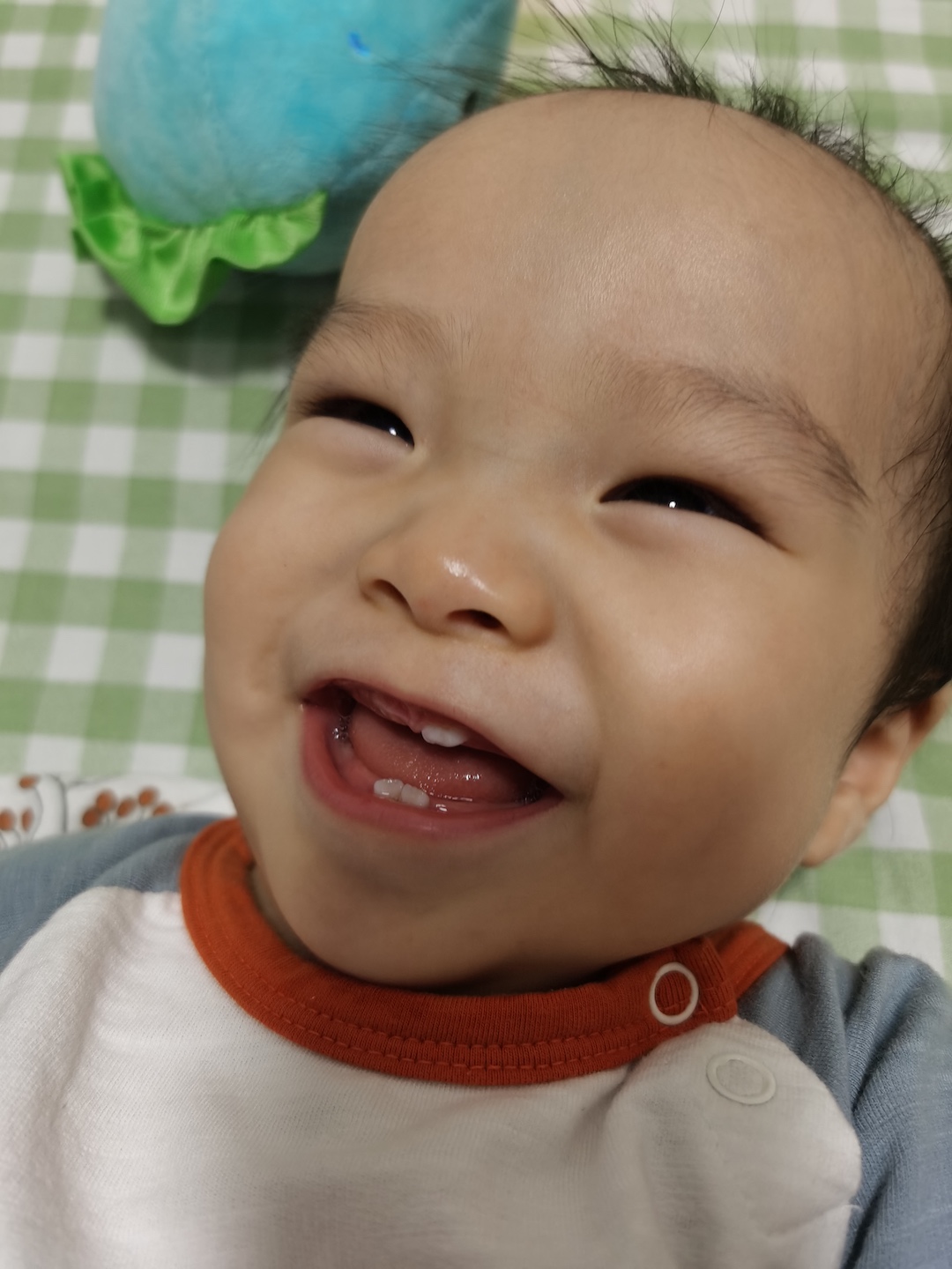 Cocoa Bean laugh out loud, showing his teeth.