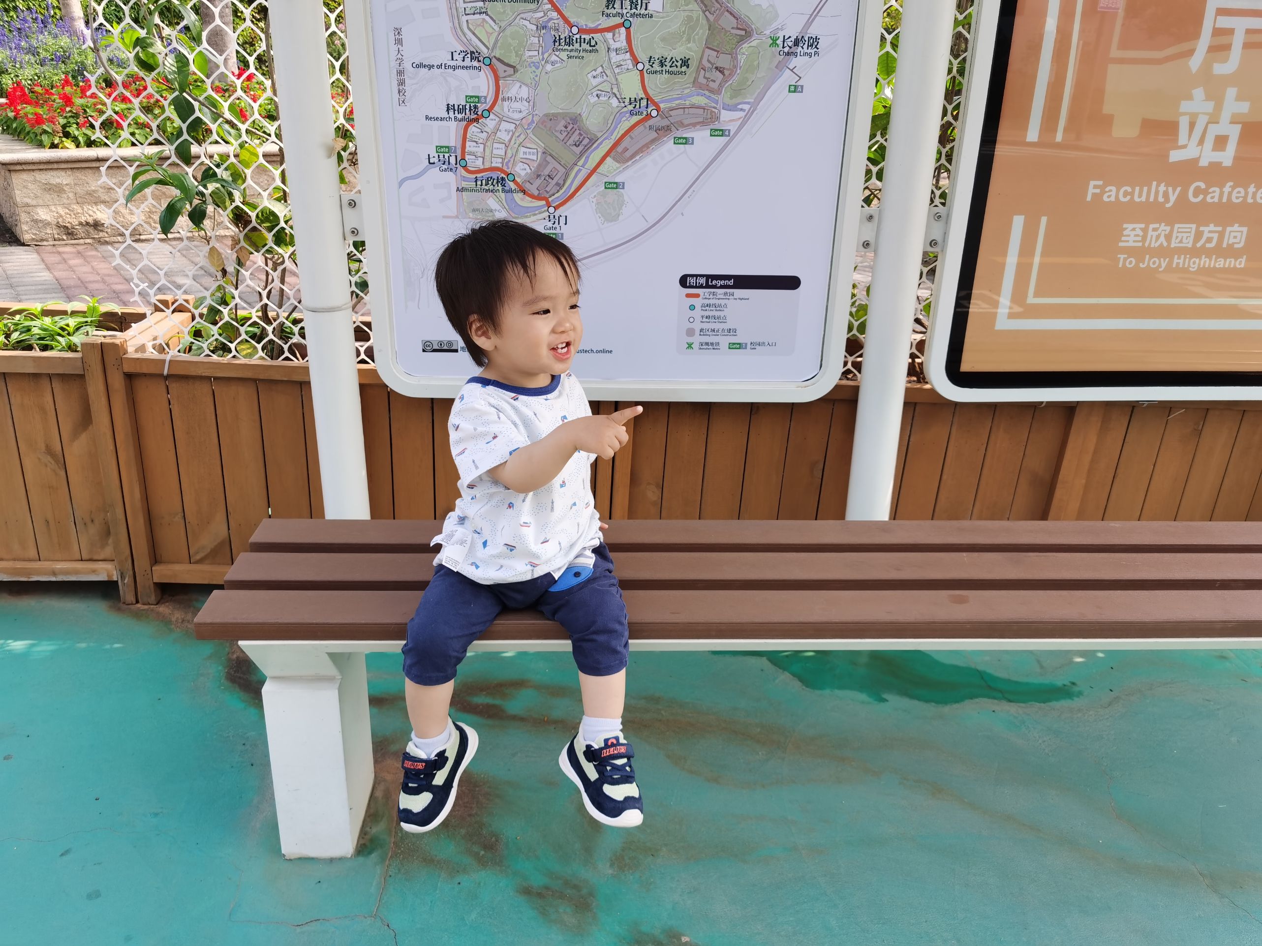 Cocoa Bean is waiting at the bus stop.