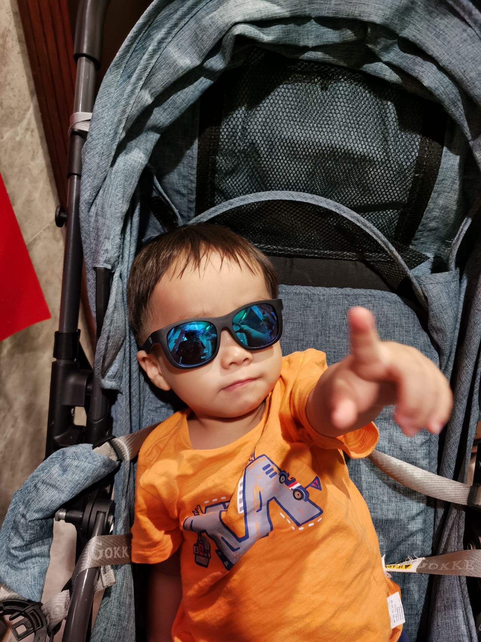 Cocoa Bean is wearing sunglasses.