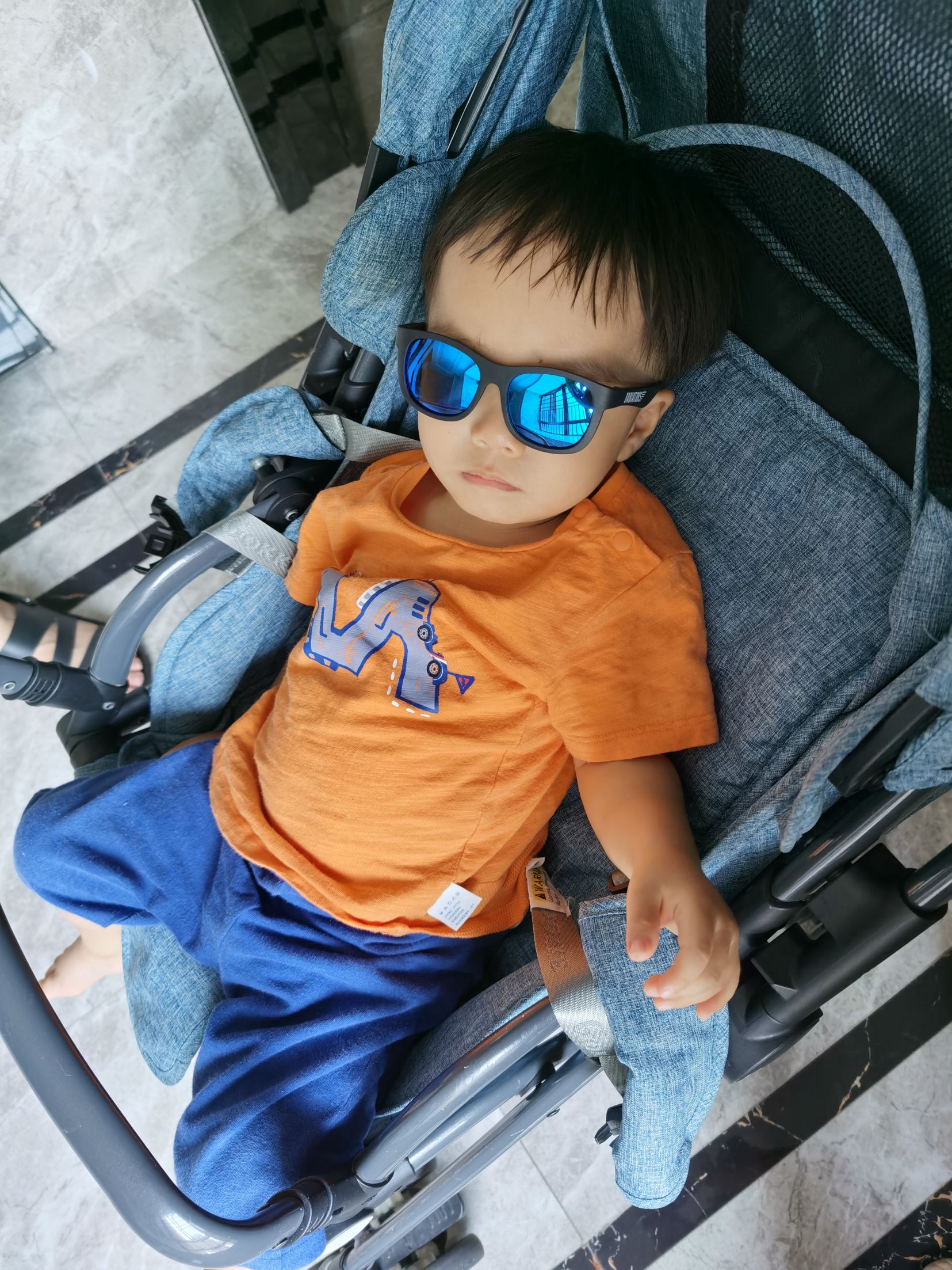 Cocoa Bean is wearing sunglasses.