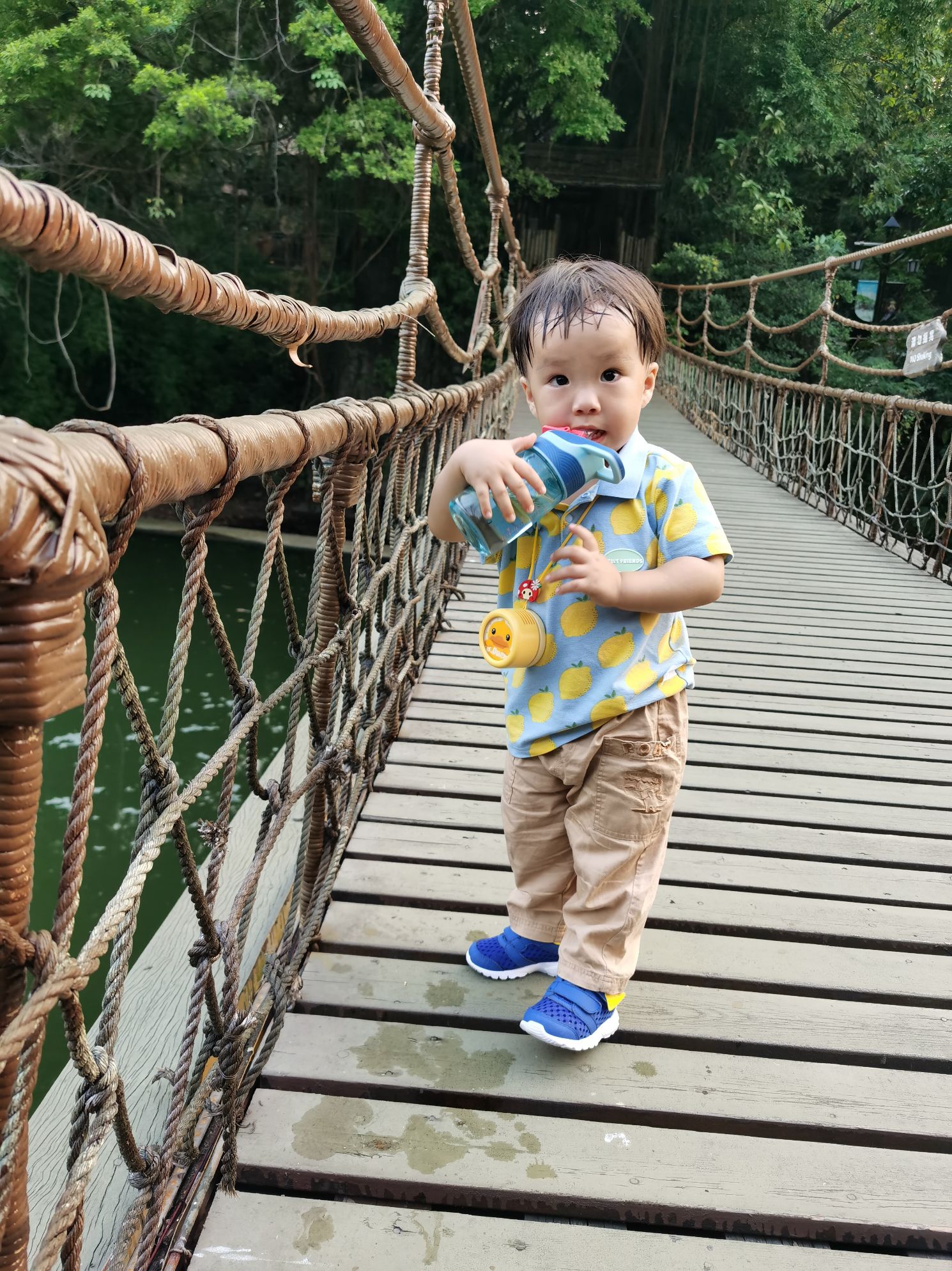 Cocoa Bean is at a theme park.