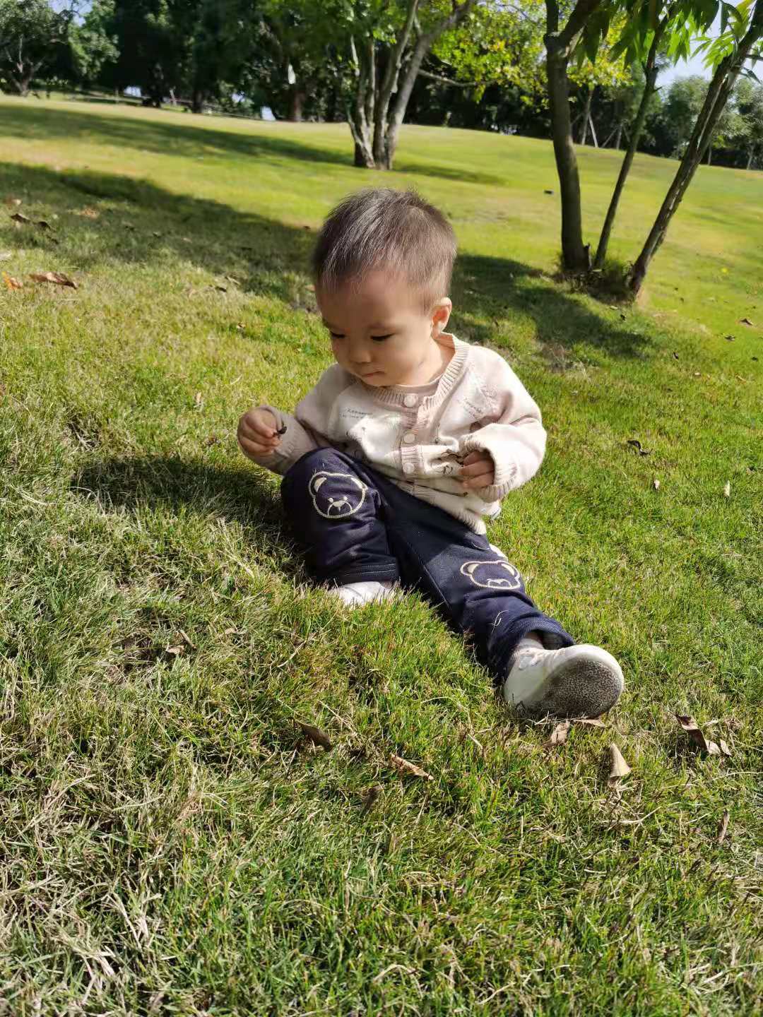 Coaca Bean is rolling on the grass.