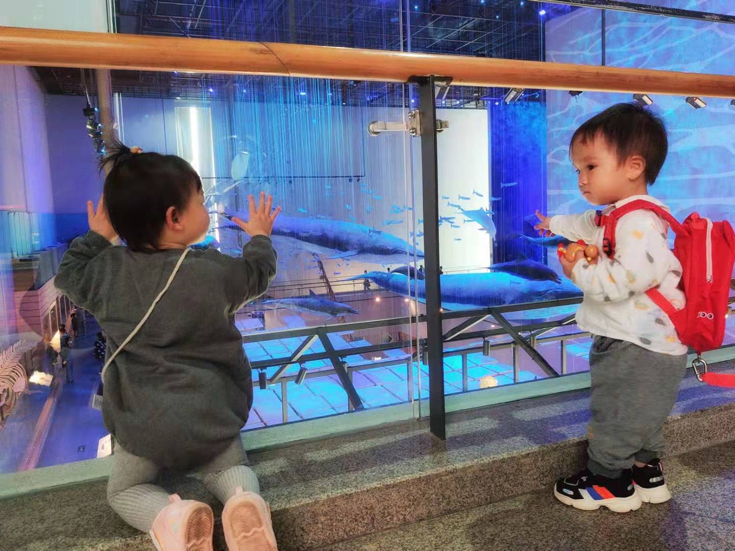 Cocoa Bean is playing with a baby girl.