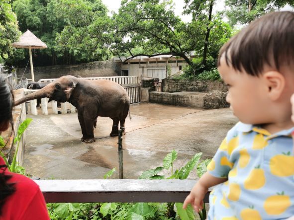 Cocoa Bean is at the zoo.