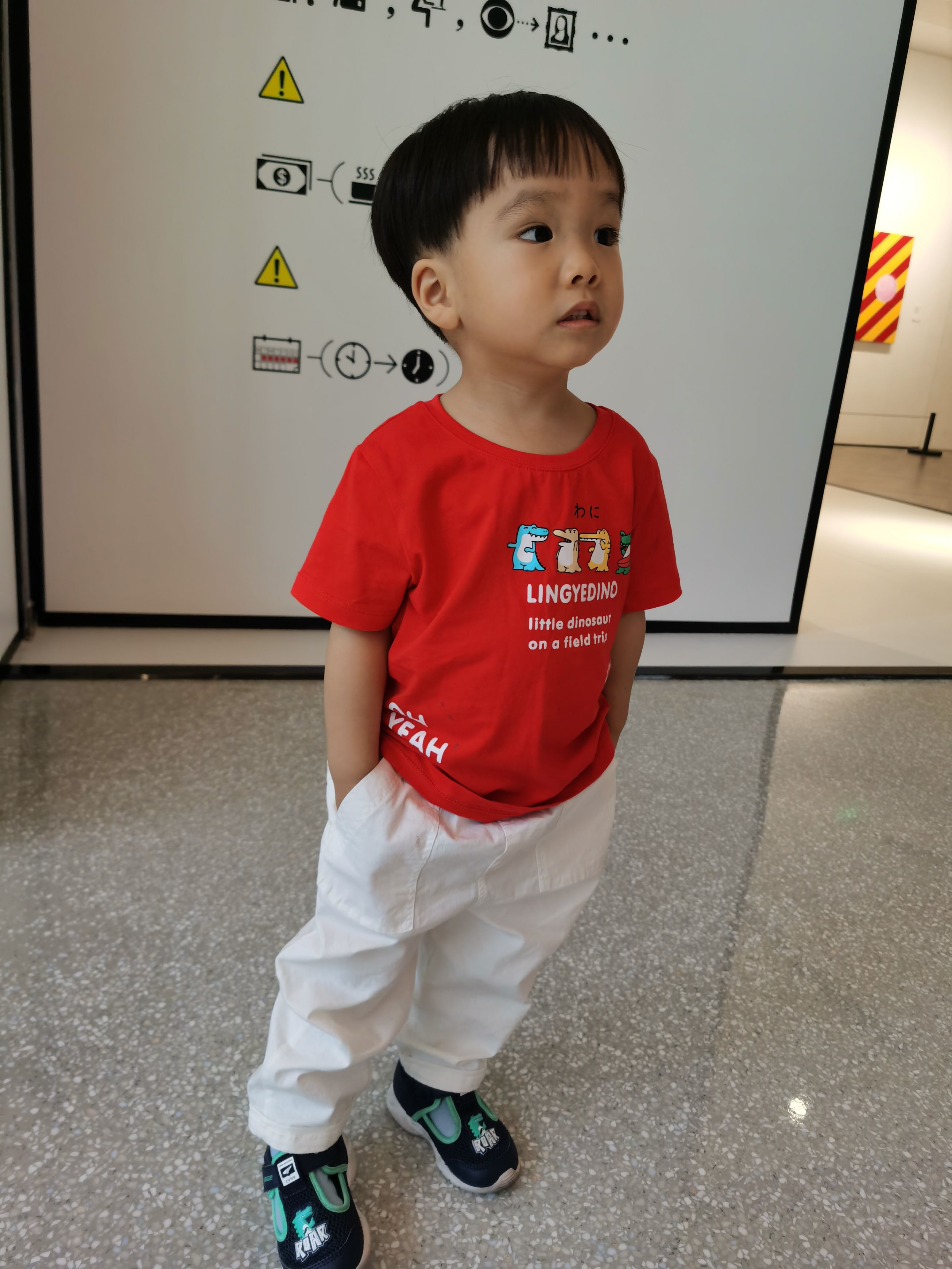 Cocoa Bean with picking products at an agritaiment.