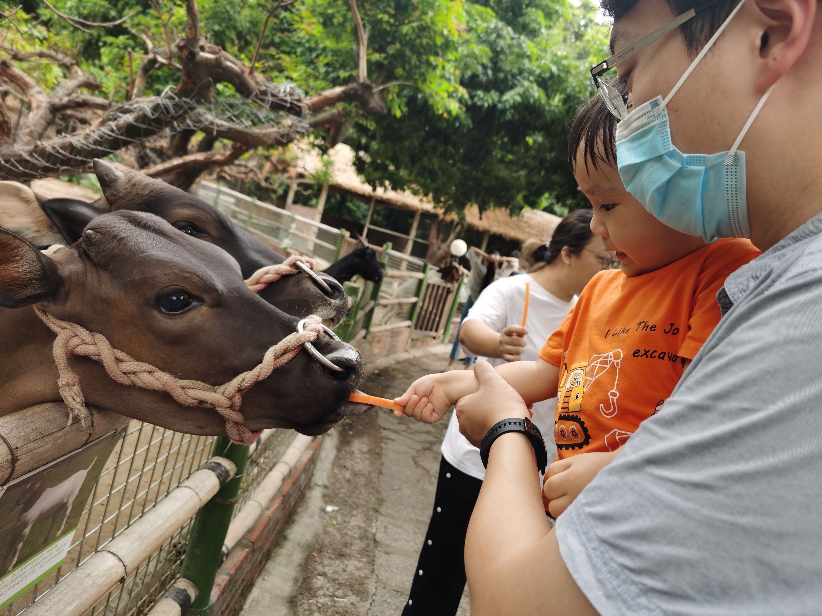 Cocoa Bean is at a natural park.
