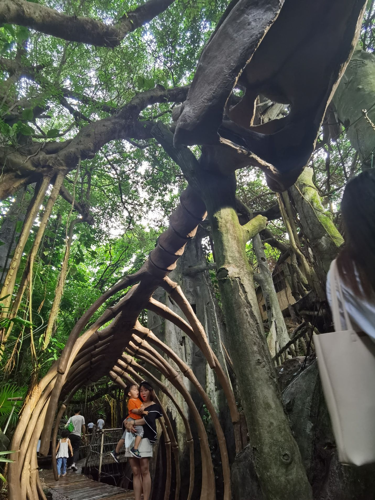 Cocoa Bean is at a natural park.
