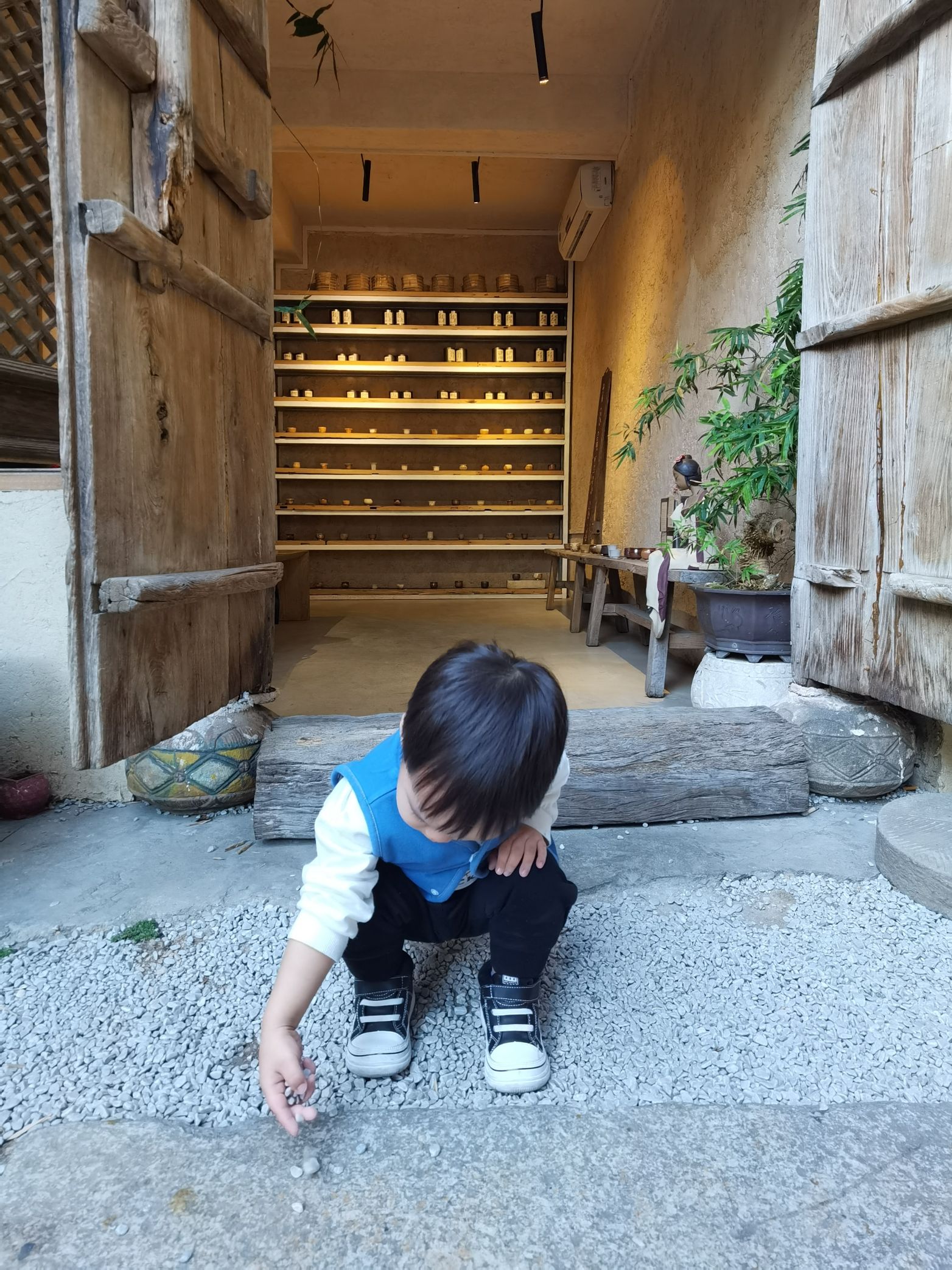 Coaca Bean is playing with rocks.