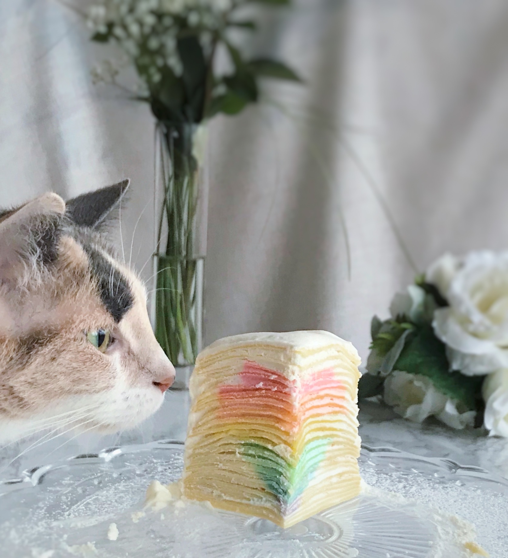A photo of our cat Spice smelling a cake