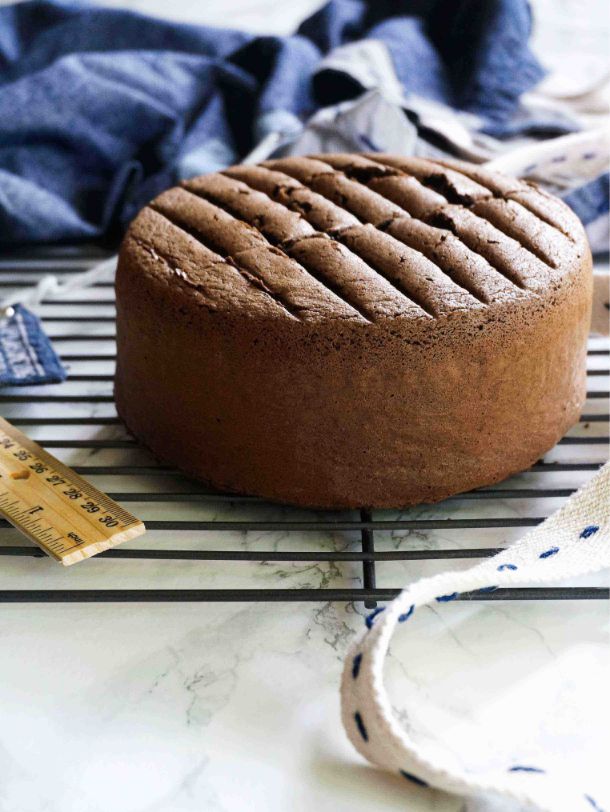 Chocolate Sponge Cake by Kexin