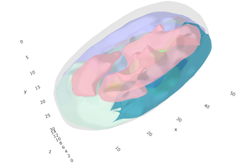 The 3D model of a Drosophila embryo.